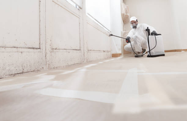 24/7 Emergency Attic Mold Removal experts in Severance, CO