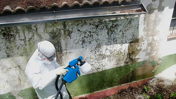 Trusted Mold Remediation service in Severance, CO - Cheap Mold Removal